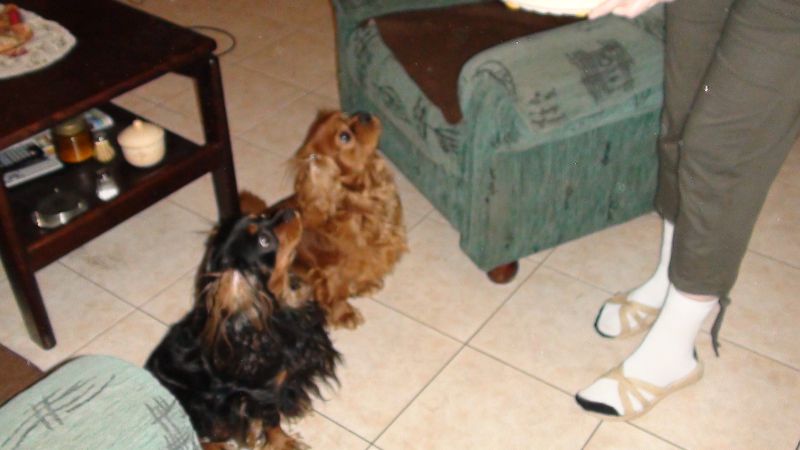 DSC01414a.jpg