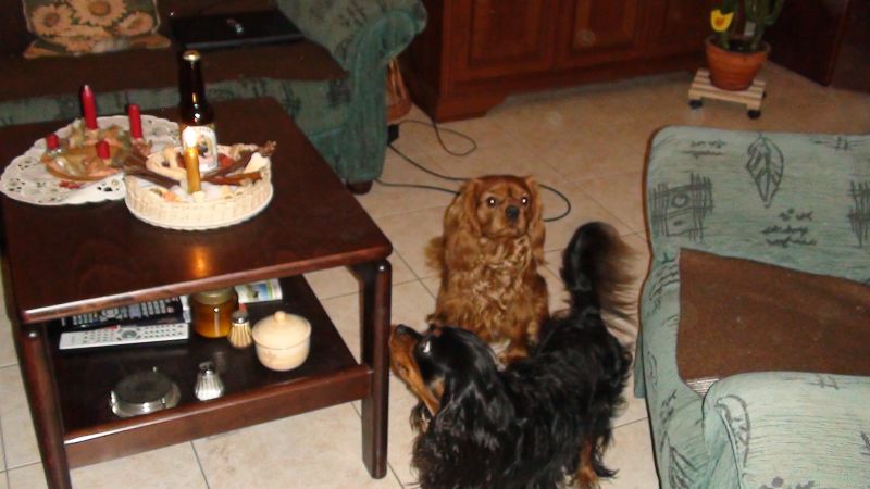 DSC01442a.jpg