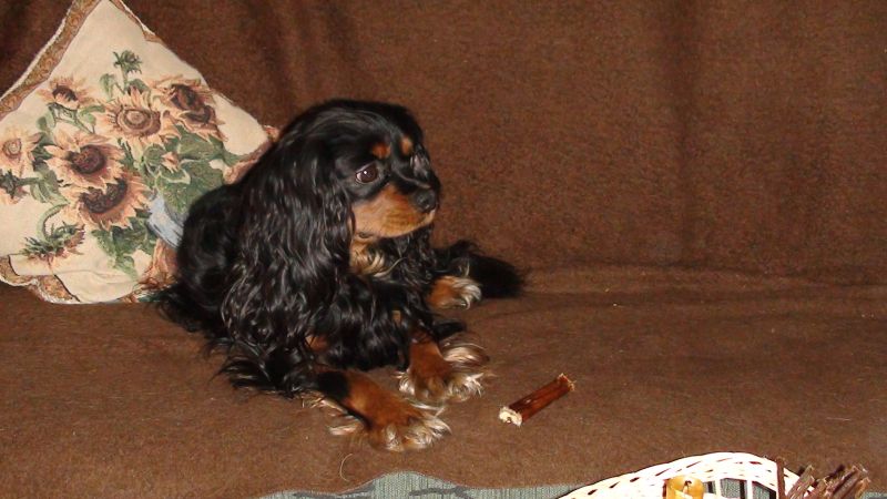 DSC01495a.jpg