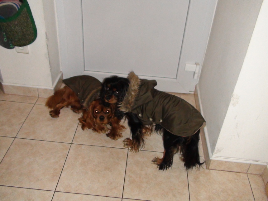 DSC01407.JPG