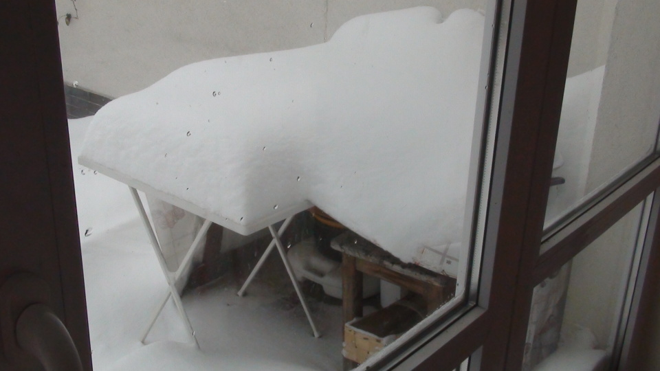 DSC01814.JPG