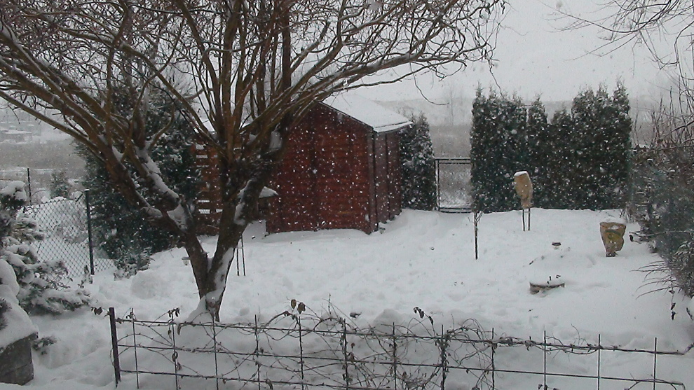 DSC01875.JPG