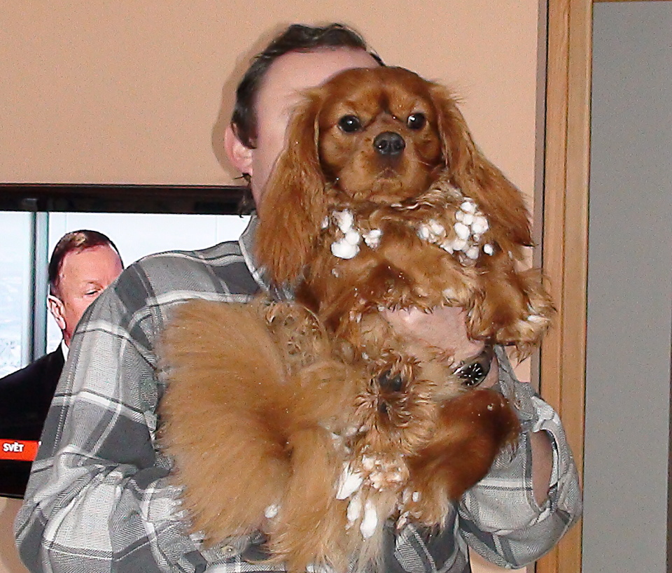 DSC01878.JPG
