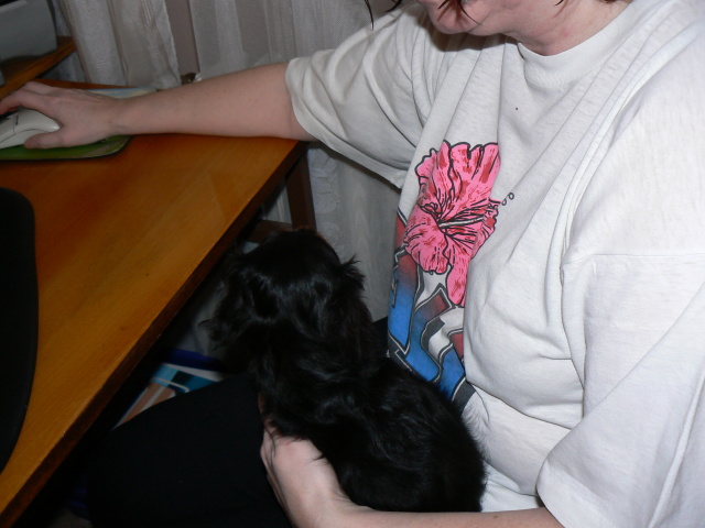 P1050437.jpg