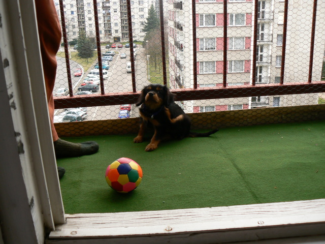 P1050513.jpg