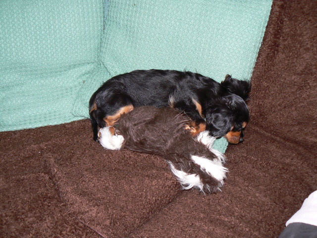 P1050677.jpg