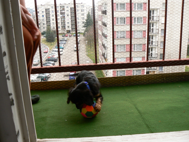 P1050518.jpg