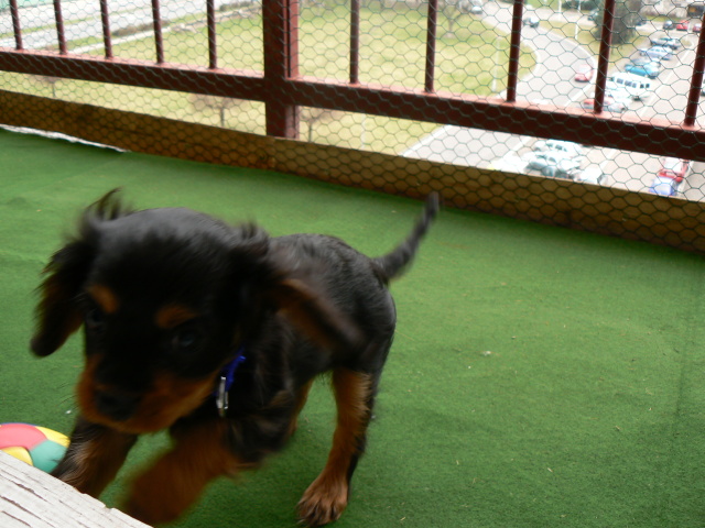 P1050500.jpg