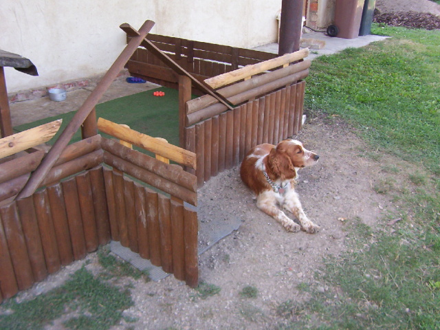 000_1107.jpg
