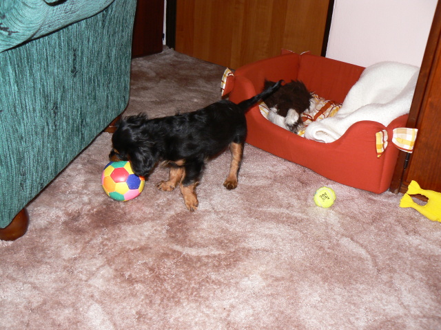 P1050744.jpg