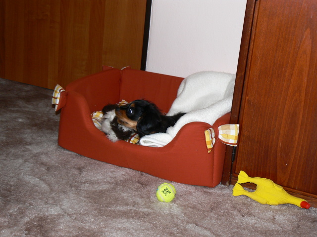 P1050745.jpg