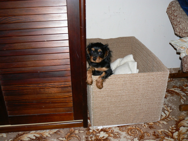P1050767.jpg