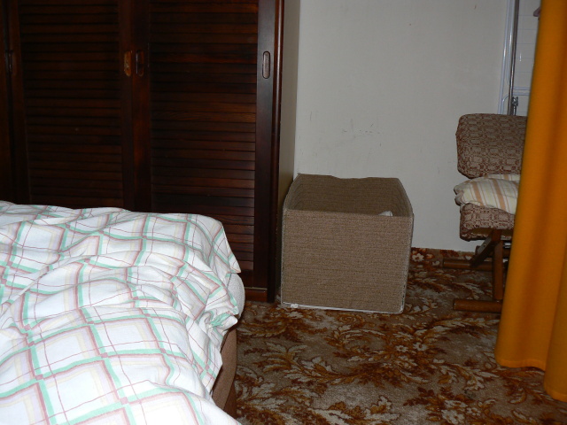 P1050769.jpg