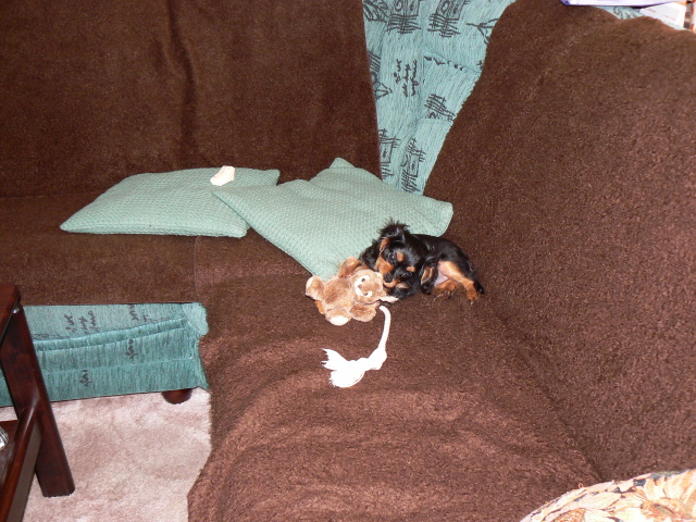 P1050774.jpg