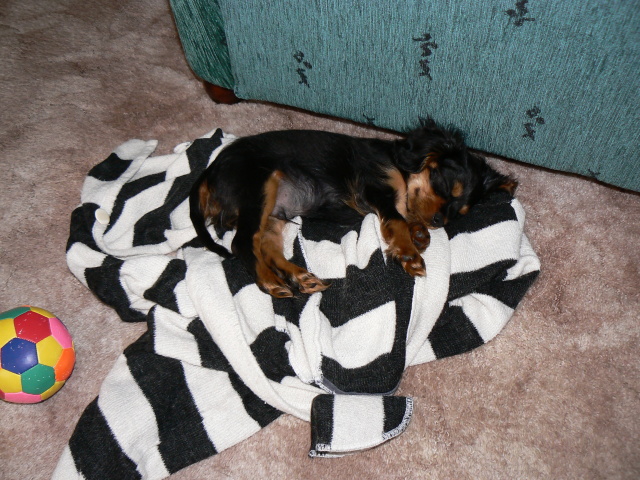 P1050816.jpg