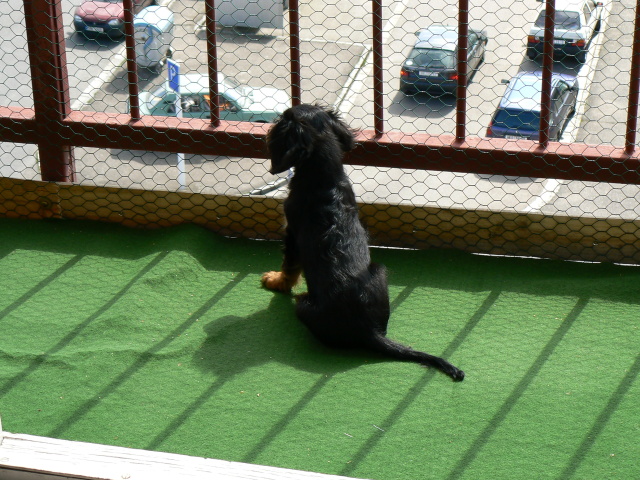P1060013.jpg