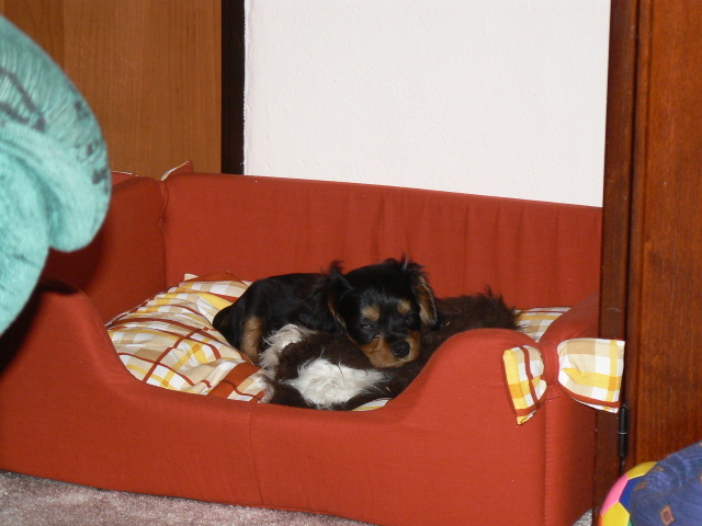 P1050339.jpg
