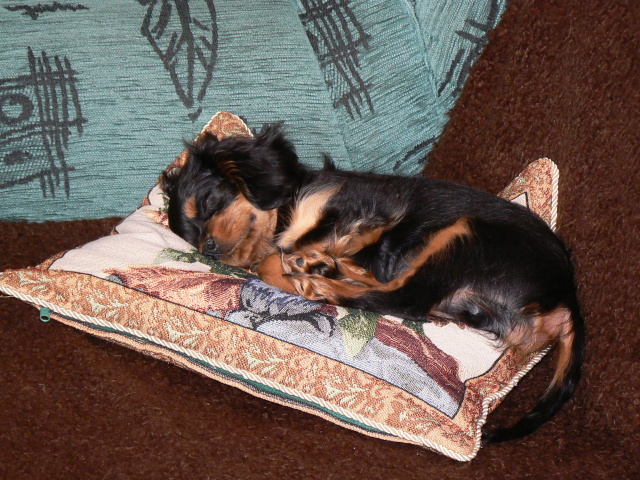 P1050843.jpg