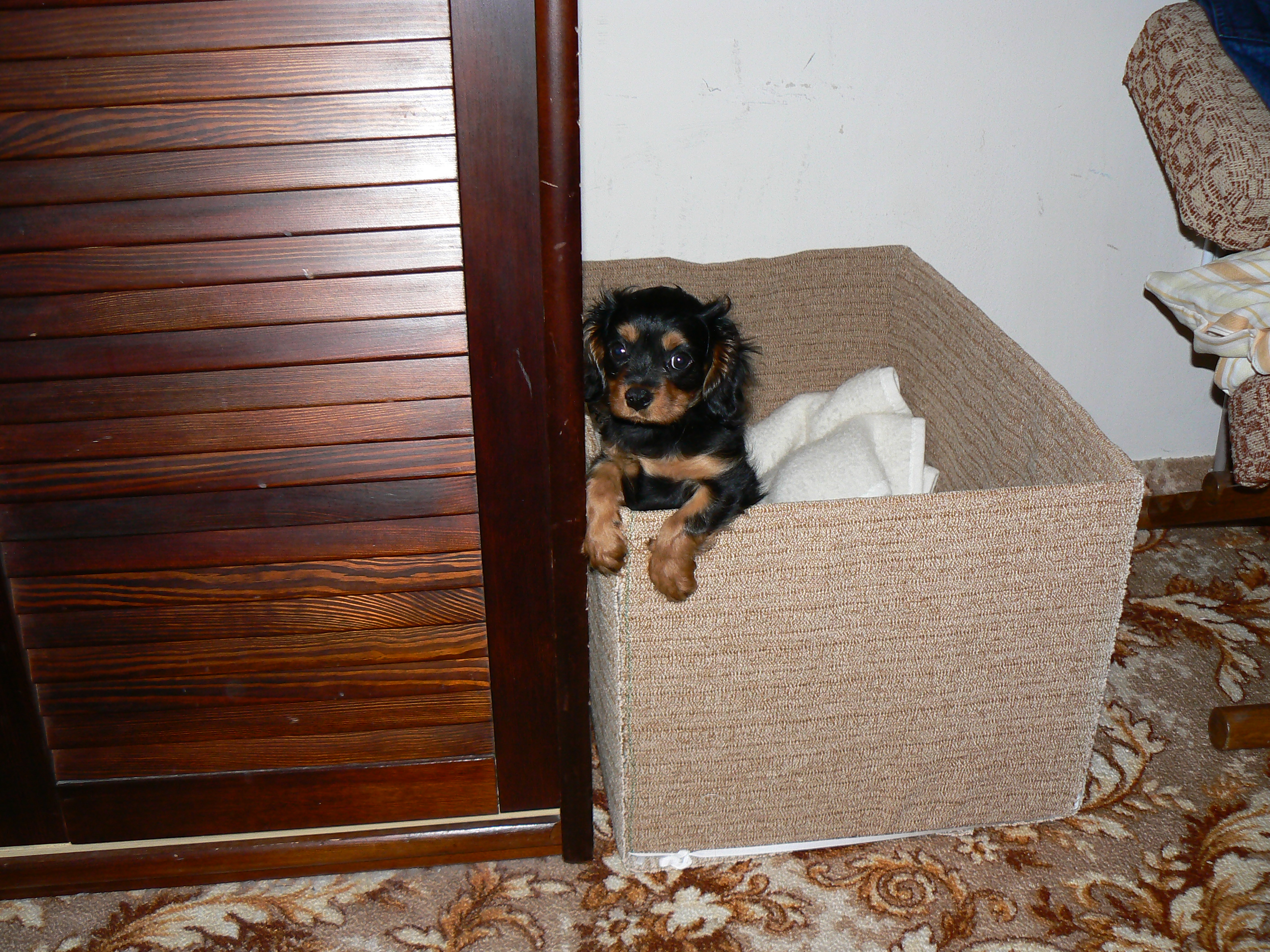 P1050767.JPG