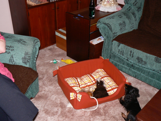 P1060152.jpg