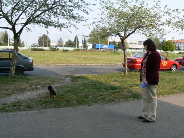 P1060465.jpg