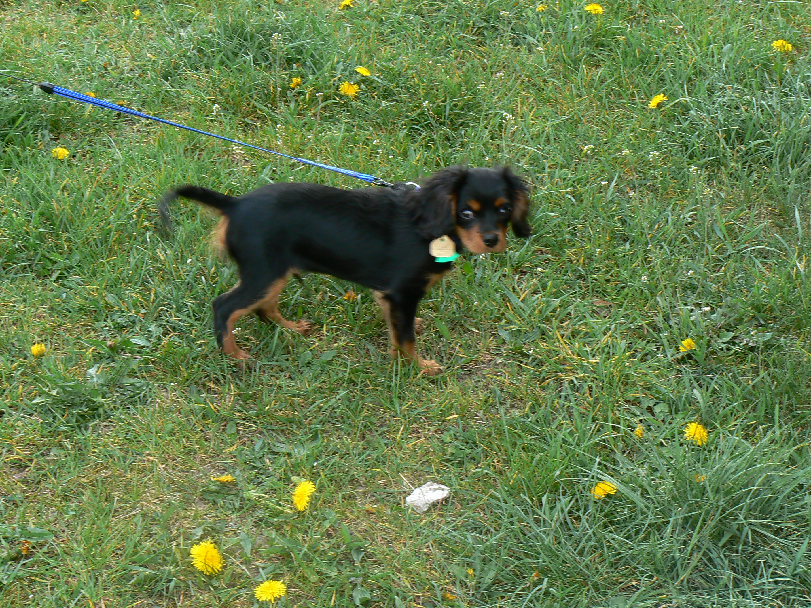 P1060469.JPG