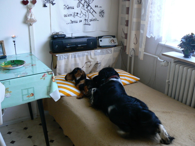 P1060690.jpg