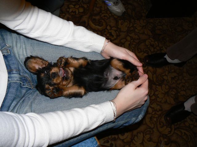 P1050026A.jpg