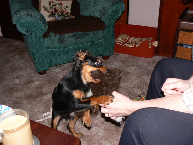 P1070134.jpg