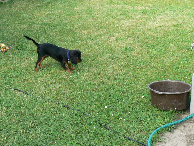 P1070270.jpg