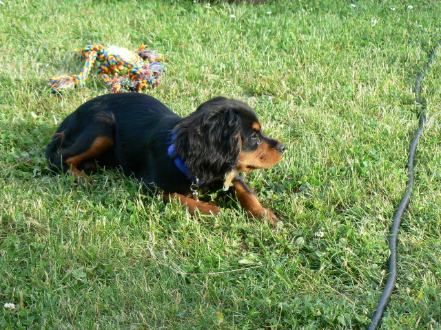 P1070300.jpg