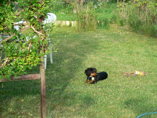 P1070304.jpg