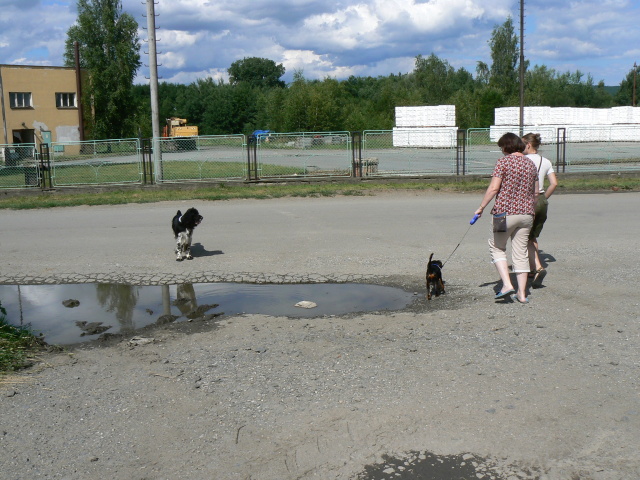 P1080730.jpg