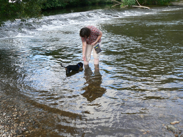 P1080743.jpg