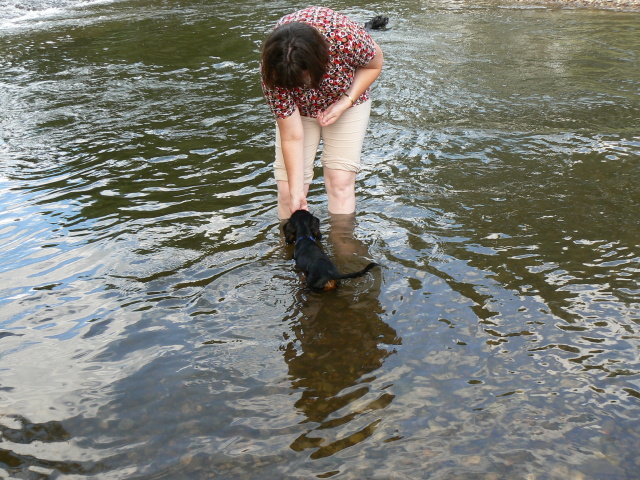 P1080744.jpg