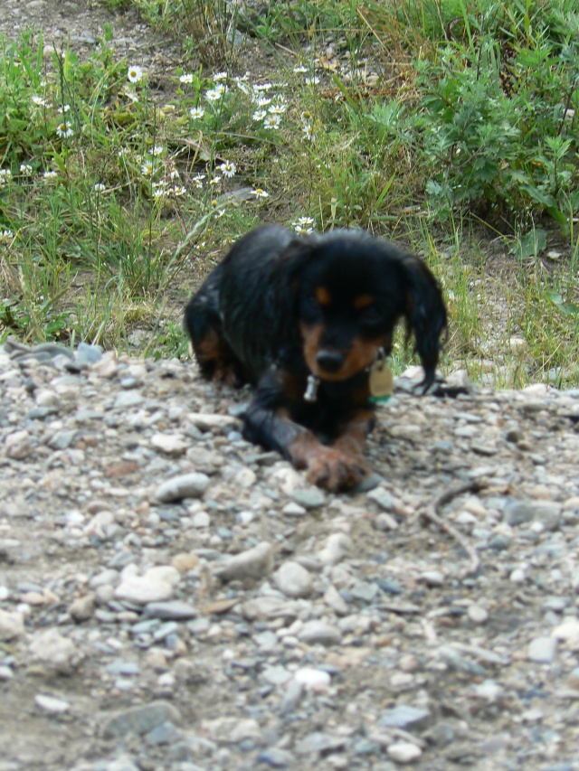 P1080753.jpg