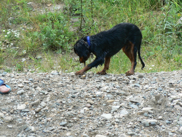 P1080754.jpg