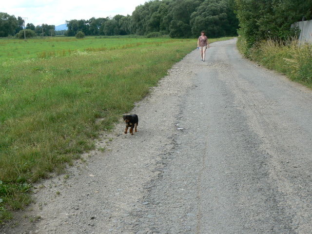 P1080766.jpg