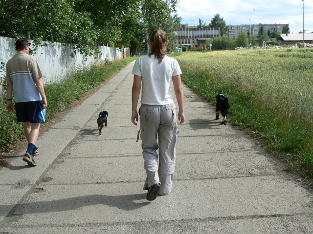 P1080774.jpg