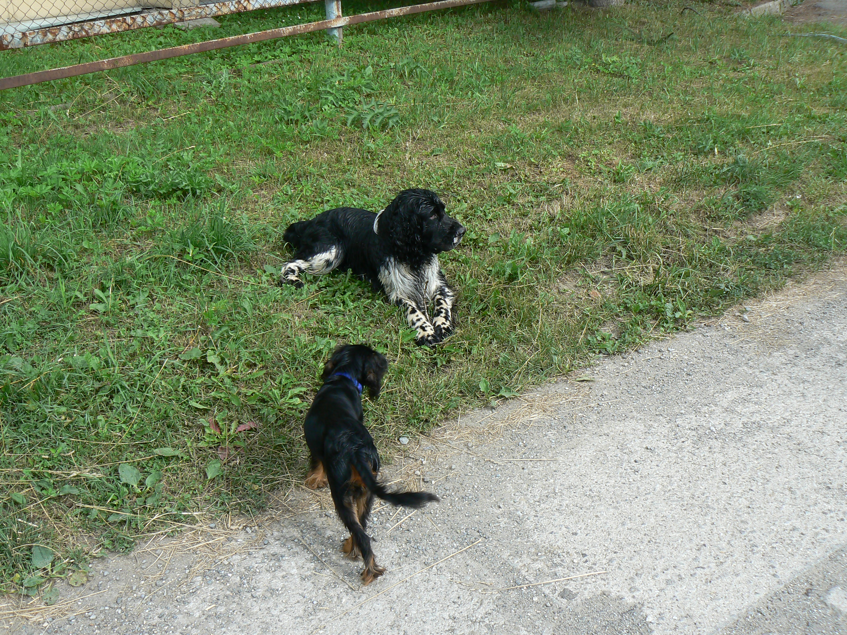 P1080776.JPG