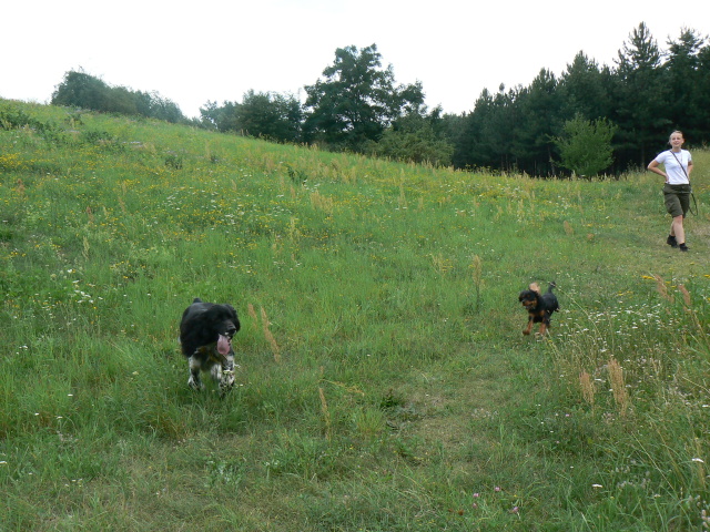 P1100935.jpg