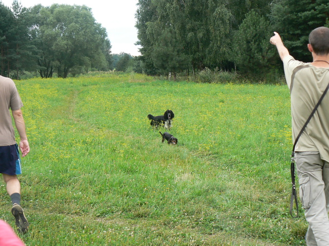 P1100941.jpg