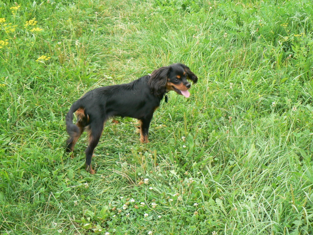 P1100943.jpg
