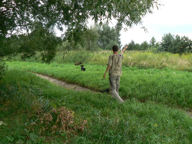 P1100944.jpg