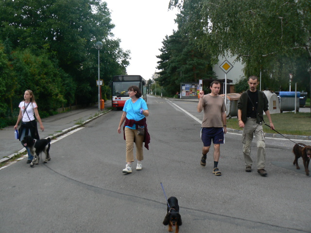 P1110051.jpg