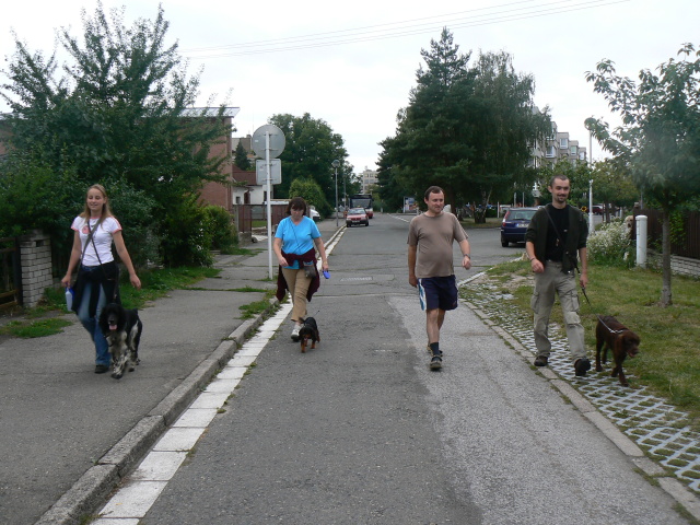 P1110052.jpg