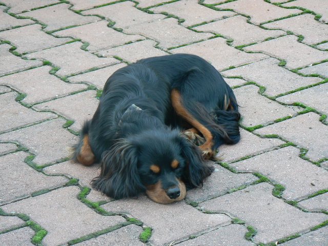 P1120832.jpg
