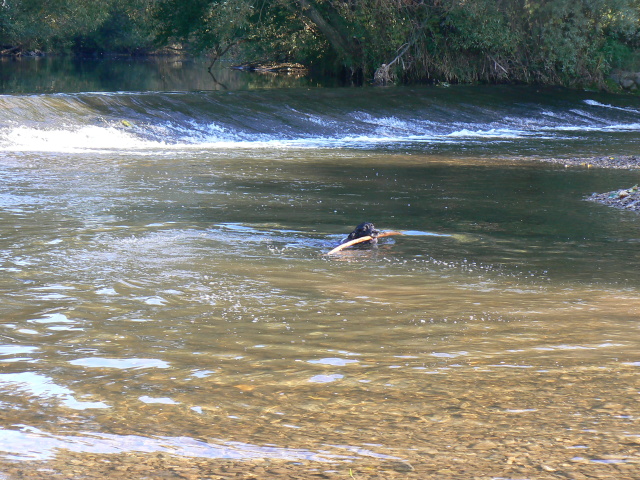 P1140238.jpg