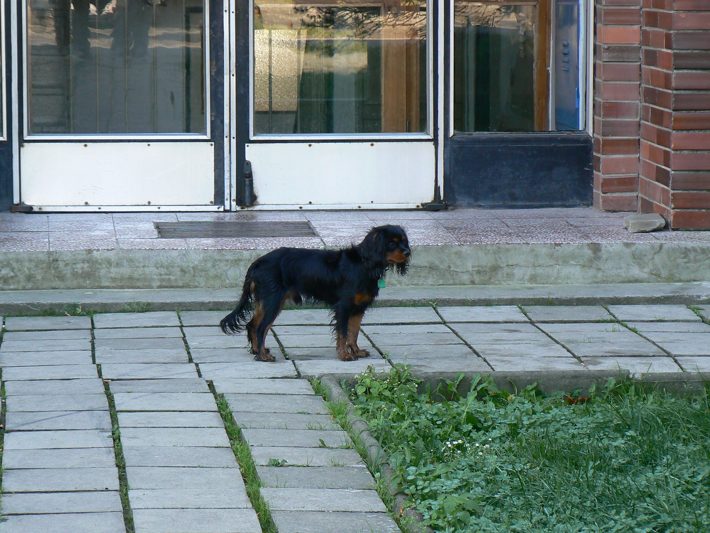 P1140407.JPG