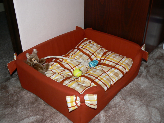 P1050077.jpg